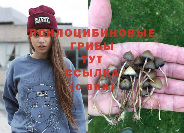 марки nbome Медногорск