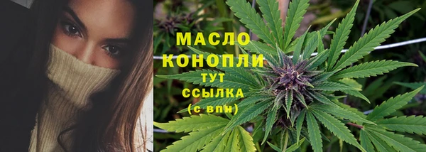 прущий лед Михайлов